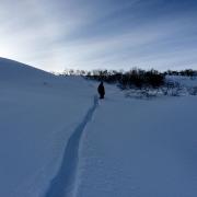 Камчатка, сноуборд, фрирайд 2014